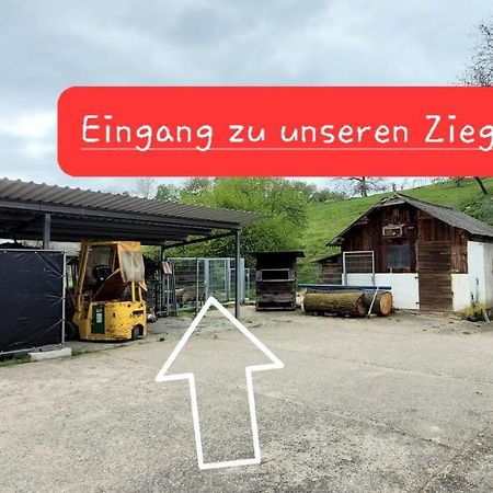Ferienwohnung/Monteurzimmer Auf Dem Bauernhof Mörlenbach Εξωτερικό φωτογραφία