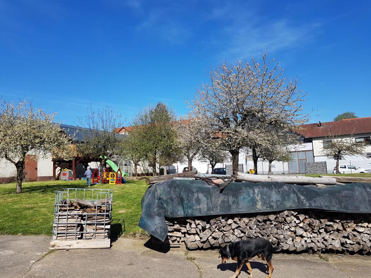 Ferienwohnung/Monteurzimmer Auf Dem Bauernhof Mörlenbach Εξωτερικό φωτογραφία