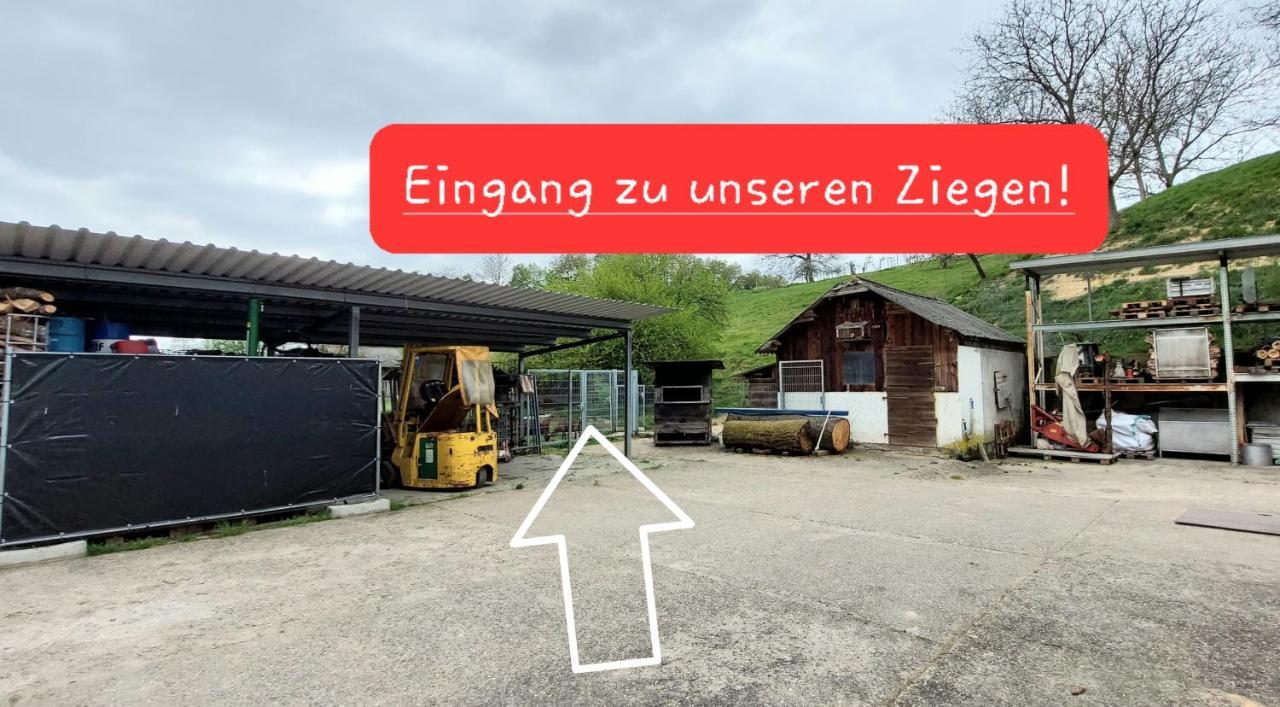 Ferienwohnung/Monteurzimmer Auf Dem Bauernhof Mörlenbach Εξωτερικό φωτογραφία