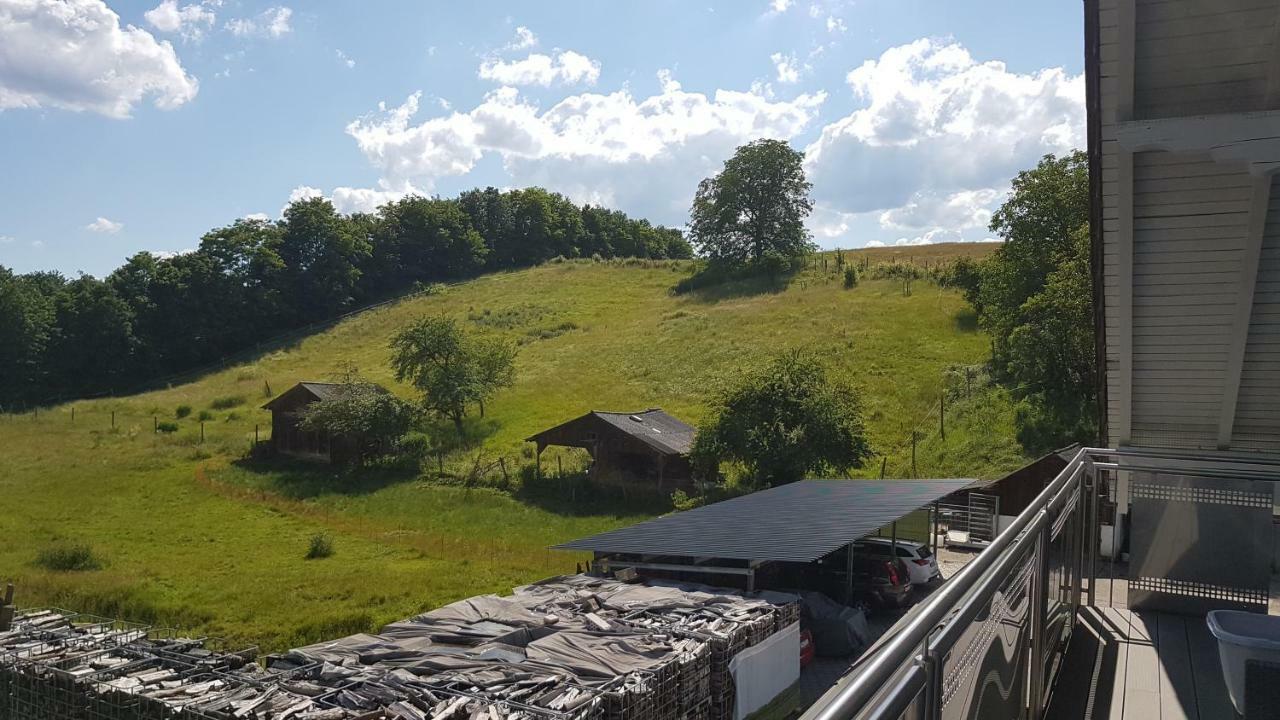 Ferienwohnung/Monteurzimmer Auf Dem Bauernhof Mörlenbach Εξωτερικό φωτογραφία